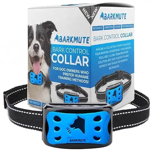 The 5 Best Vibration Collars For Dogs (2024) OodleLife®