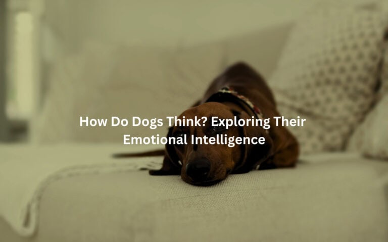 How Do Dogs Think? Exploring Their Emotional Intelligence