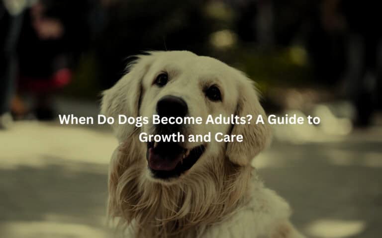 When Do Dogs Become Adults? A Guide to Growth and Care