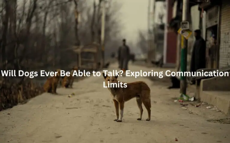 Will Dogs Ever Be Able to Talk? Exploring Communication Limits